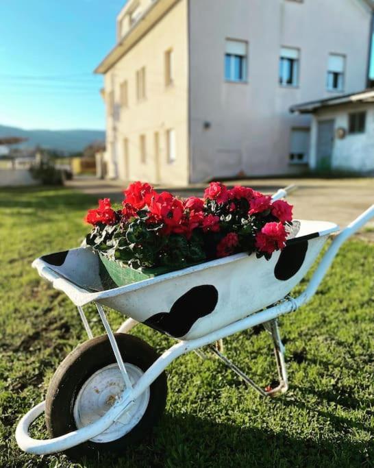 Viviendas Uso Turistico Reme II Foz Buitenkant foto